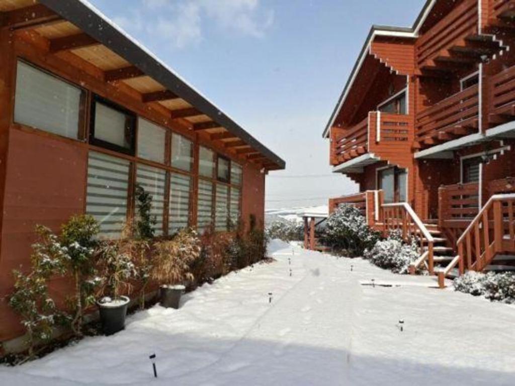Breakfast At Tiffany'S Pension Seogwipo Exterior photo